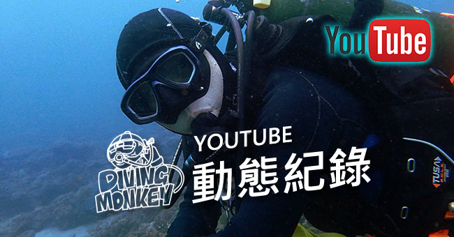 DIVE YOUTUBE