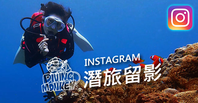 DIVE MONKEY INSTAGRAM