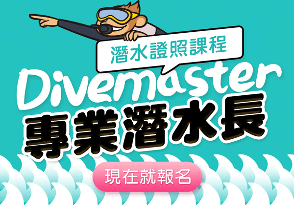 潛水長開放水域國際證照(自由選擇時間)