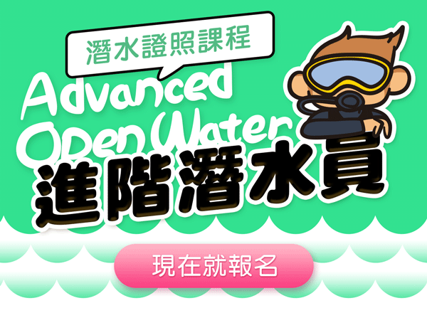 AOW開放水域國際證照(自由選擇時間)